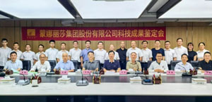 蒙娜麗莎2025年重點(diǎn)研發(fā)項(xiàng)目新突破